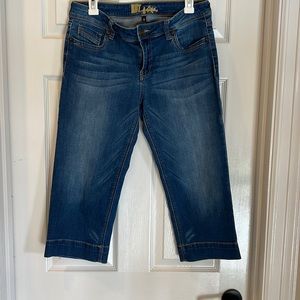 Kut From the Cloth capris.